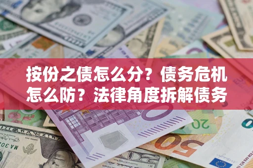 北京按份之债怎么分？债务危机怎么防？法律角度拆解债务分配与风险自保指南