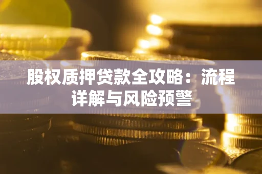 北京股权质押贷款全攻略：流程详解与风险预警