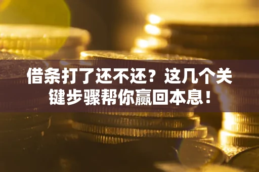北京借条打了还不还？这几个关键步骤帮你赢回本息！