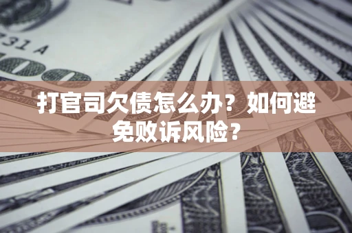 北京打官司欠债怎么办？如何避免败诉风险？