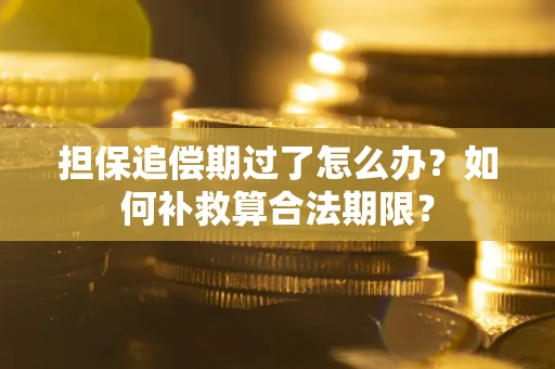 北京担保追偿期过了怎么办？如何补救算合法期限？