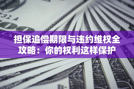 北京担保追偿期限与违约维权全攻略：你的权利这样保护