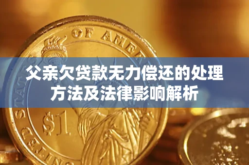 北京父亲欠贷款无力偿还的处理方法及法律影响解析